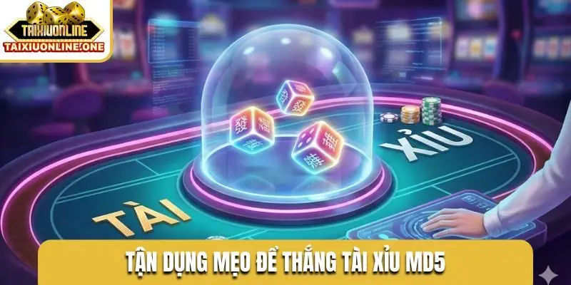 Tận dụng mẹo để thắng tài xỉu MD5